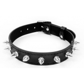 Черный ошейник с серебристыми шипами - Notabu - купить с доставкой в Находке
