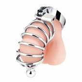 Серебристая клетка для члена Urethral Play Cage - BlueLine - купить с доставкой в Находке
