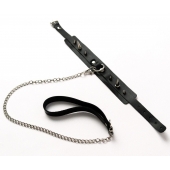 Черный ошейник с шипами и поводком - Crazy Handmade - купить с доставкой в Находке