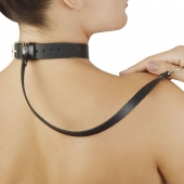 Леопардовый меховой ошейник с кожаным поводком - Sitabella - купить с доставкой в Находке