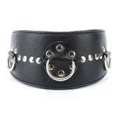 Чёрный кожаный ошейник с полукольцами и клёпками - БДСМ Арсенал - купить с доставкой в Находке