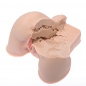 Мастурбатор-полуторс Naked Factory Kate - Naked Factory - в Находке купить с доставкой