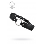 Черный кожаный чокер-ошейник со скруглёнными углами - Pecado - купить с доставкой в Находке