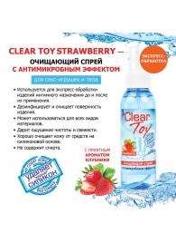 Очищающий спрей для игрушек CLEAR TOY Strawberry - 100 мл. - Биоритм - купить с доставкой в Находке