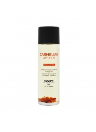 Органическое массажное масло CARNELIAN APRICOT - 100 мл. - Exsens - купить с доставкой в Находке