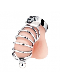 Серебристая клетка для члена Urethral Play Cage - BlueLine - купить с доставкой в Находке