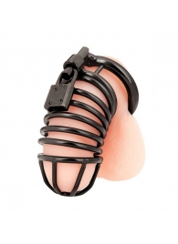 Черная металлическая клетка с замком Deluxe Chastity Cage - BlueLine - купить с доставкой в Находке
