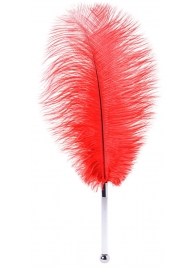Красное страусовое пёрышко - ToyFa - купить с доставкой в Находке