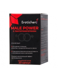 Капсулы для мужчин Erotichard male power с пантогематогеном - 20 капсул (0,370 гр.) - Erotic Hard - купить с доставкой в Находке