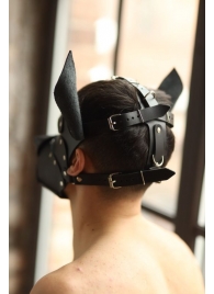 Эффектная маска собаки с металлическими заклепками - БДСМ Арсенал - купить с доставкой в Находке