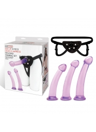 Тренировочный набор с тремя насадками Pegging Training Set - Lux Fetish - купить с доставкой в Находке