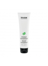 Водный лубрикант Nuei Inlube с алоэ вера и ароматом мяты - 100 мл. - Nuei cosmetics - купить с доставкой в Находке