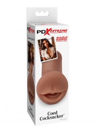 Мастурбатор-ротик Coed Cocksucker - Pipedream - в Находке купить с доставкой