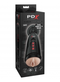 Мастурбатор-вагина с вибрацией Dirty Talk Starter Stroker - Pipedream - в Находке купить с доставкой
