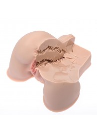 Мастурбатор-полуторс Naked Factory Kate - Naked Factory - в Находке купить с доставкой