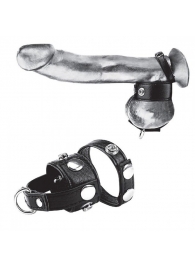 Утяжка для мошонки и пениса Cock Ring With 1  Ball Stretcher And Optional Weight Ring - BlueLine - купить с доставкой в Находке