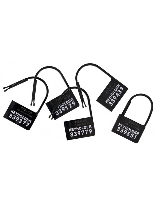 Набор для мужского пояса верности Cock Cage Set - Orion - купить с доставкой в Находке