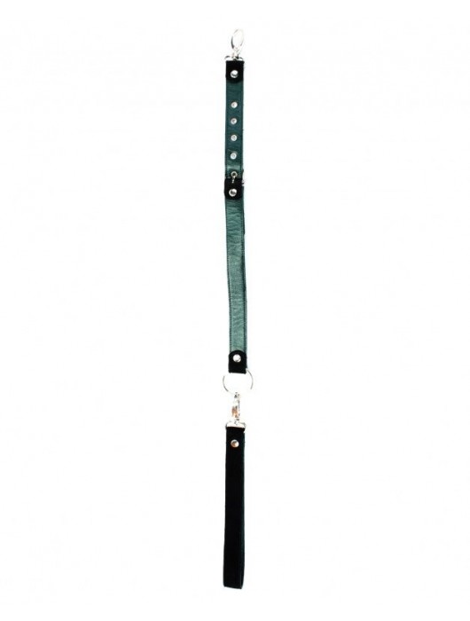 Изумрудный поводок для ошейника Ladys Arsenal - БДСМ Арсенал - купить с доставкой в Находке