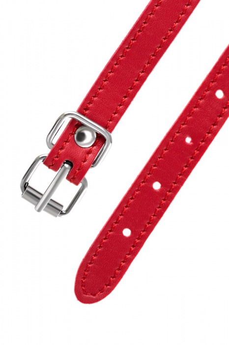 Красная маска Anonymo из искусственной кожи - ToyFa - купить с доставкой в Находке