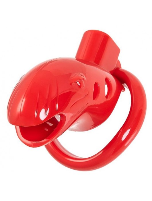 Красный мужской пояс верности из пластика - ToyFa - купить с доставкой в Находке