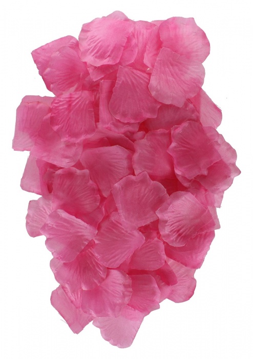 Эротический набор FANTASTIC PURPLE SEX TOY KIT - Toy Joy - купить с доставкой в Находке