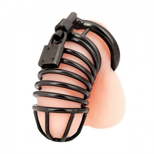Черная металлическая клетка с замком Deluxe Chastity Cage - BlueLine - купить с доставкой в Находке