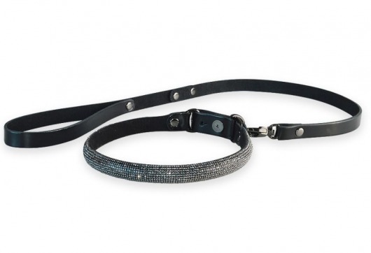 Эффектный сверкающий ошейник с поводком  Гламур - Sitabella - купить с доставкой в Находке