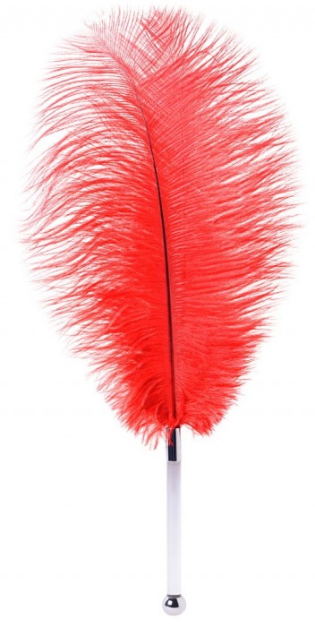 Красное страусовое пёрышко - ToyFa - купить с доставкой в Находке
