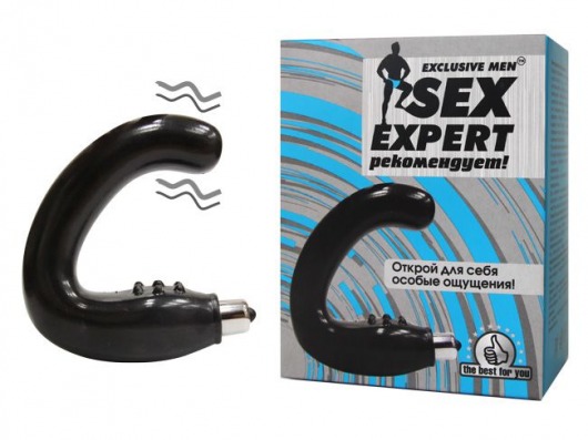 Чёрный массажёр простаты серии Sex Expert - Sex Expert - в Находке купить с доставкой