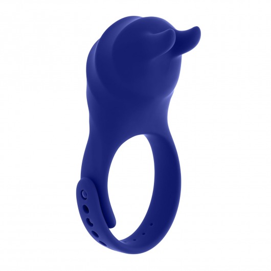 Синее эрекционное виброкольцо с клиторальной подушечкой и пультом ДУ Adjustable Fun Ring - Zero Tolerance - в Находке купить с доставкой