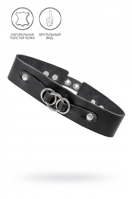 Черный чокер-ошейник со связанными кольцами на подложке - Pecado - купить с доставкой в Находке