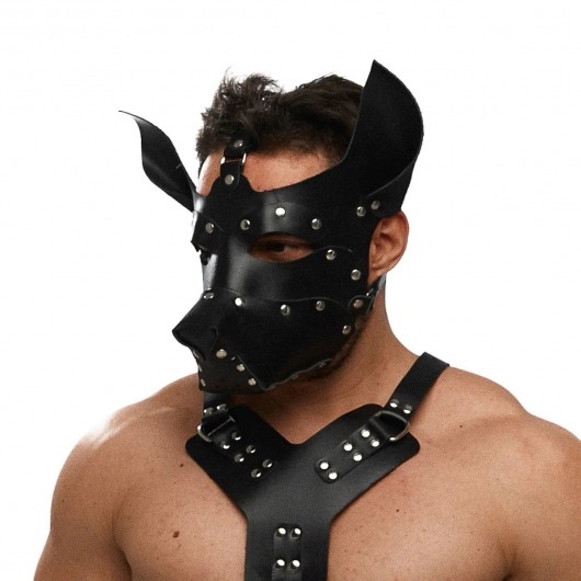 Черная кожаная маска «Собака» - Crazy Handmade - купить с доставкой в Находке