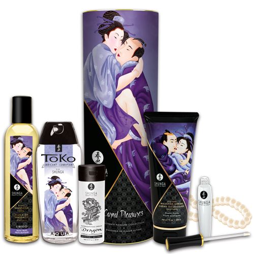 Подарочный набор CARNAL PLEASURES - Shunga - купить с доставкой в Находке