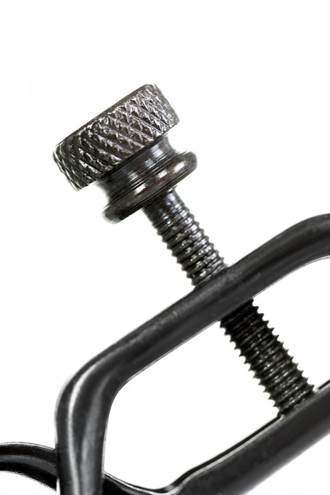 Черно-золотистые зажимы для сосков TOYFA Theatre - ToyFa - купить с доставкой в Находке