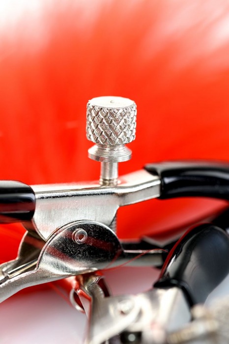 Зажимы для сосков с красным пухом Theatre - ToyFa - купить с доставкой в Находке