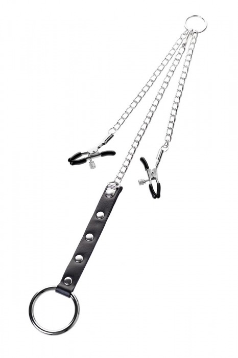 Серебристо-чёрные зажимы для сосков с кольцом для пениса TOYFA Metal - ToyFa - купить с доставкой в Находке