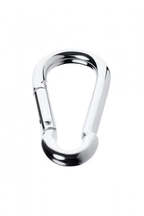 Серебристый карабин TOYFA Metal - ToyFa - купить с доставкой в Находке